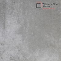 Клинкерные ступени и плитка WesterWalder WKS31110 в Брянске